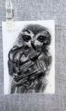 Gold Framed Miniature Saw-Whet Owl