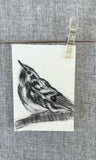 Gold Framed Miniature Black and White Warbler