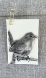 Gold Framed Miniature Sedge Wren