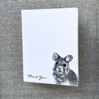 6 Pack Assorted Note Cards