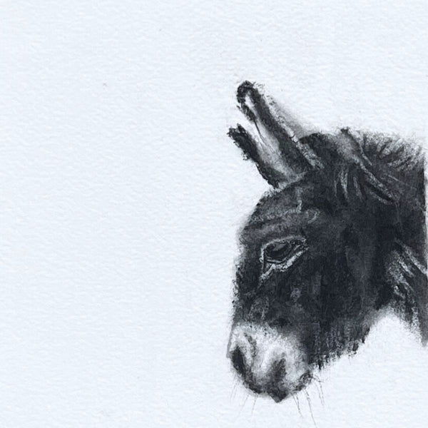 Little Donkey