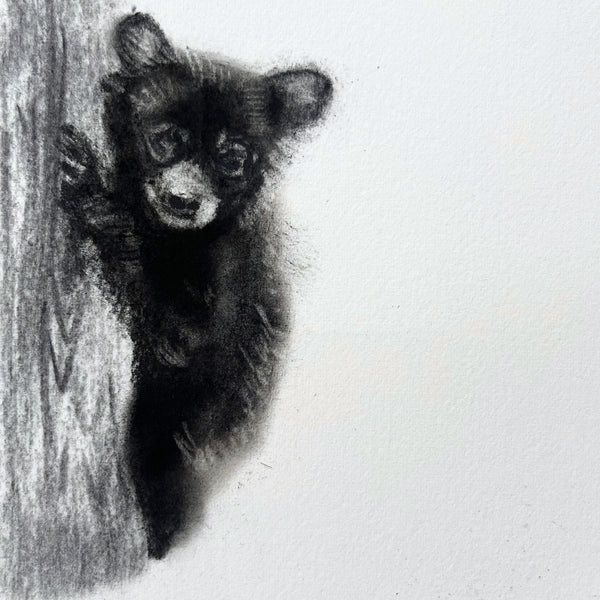 Bear Cub