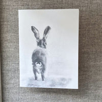 6 Onward Hare Cards