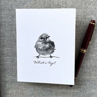 6 Bluebird What's Up Note Cards