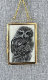 Gold Framed Miniature Saw-Whet Owl