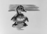 6 Duckling Note Cards